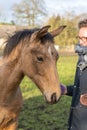 Young woman in a raincoat with her yellow 1 year old stallion in the pasture. Curious horse`s head while being brushed. Selective Royalty Free Stock Photo