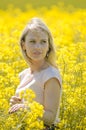 Young woman in the field Royalty Free Stock Photo