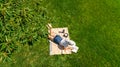 Young woman reading book in park, student girl relaxing outdoors sitting on grass with book and headphones, aerial drone view Royalty Free Stock Photo