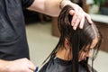 Woman receiving haircut by hairdresser Royalty Free Stock Photo