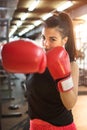 Young woman with red boxing gloves punching towards camera. Royalty Free Stock Photo