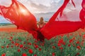 A young woman in a red dress and long red wings poses in a large field of red poppies at sunset Royalty Free Stock Photo