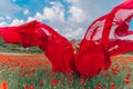 A young woman in a red dress and long red wings poses in a large field of red poppies at sunset Royalty Free Stock Photo