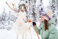 Young woman with reindeer in Lapland Royalty Free Stock Photo