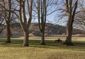 A young woman is resting on bench in the shade of tree in the sunny warm day in green park