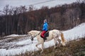 Young woman rider in a blue blazer and sporting a cap for a walk on a white horse Royalty Free Stock Photo