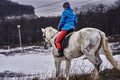 Young woman rider in a blue blazer and sporting a cap for a walk on a white horse Royalty Free Stock Photo