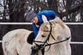 Young woman rider in a blue blazer and sporting a cap for a walk on a white horse on a cloudy winter day Royalty Free Stock Photo