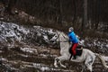 Young woman rider in a blue blazer and sporting a cap for a walk on a white horse Royalty Free Stock Photo