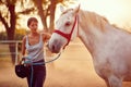 Woman rider and her beautiful horse at summer day on the farm Royalty Free Stock Photo