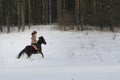 Young woman rides on top a bay horse in winter countryside Royalty Free Stock Photo