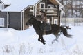 Young woman rides on top a bay horse in winter countryside Royalty Free Stock Photo