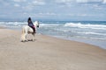 Young woman riding along the beach with his white horse, sees the city in the background Royalty Free Stock Photo