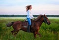 Young woman riding bay horse in foggy field Royalty Free Stock Photo