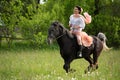 Young woman riding on beautiful horse , having fun in summer time , Romania countryside