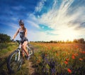 Young woman riding a bicycle on a blooming poppy meadow Royalty Free Stock Photo