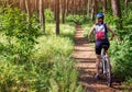 Young woman riding a bicycle in the forest Royalty Free Stock Photo