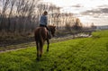 Young woman riding brown horse in field Royalty Free Stock Photo