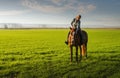 Young woman riding brown horse in field Royalty Free Stock Photo