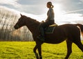 Young woman riding brown horse in field Royalty Free Stock Photo