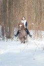 A young woman riding a brown horse in the forest Royalty Free Stock Photo