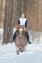 A young woman riding a brown horse in the winter forest Royalty Free Stock Photo