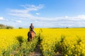 Young woman riding on a brown horse in yellow rape or oilseed field with blue sky on background. Horseback riding. Space for text Royalty Free Stock Photo