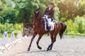 Young woman riding horse on dressage advanced test Royalty Free Stock Photo