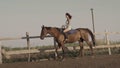 Young woman riding a horse on a lunging rein