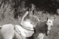 Young woman riding on horse (motion blur) Royalty Free Stock Photo