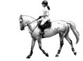 Young woman riding horse - realistic vector