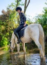 Young woman riding a horse in the river A beautiful rider and ho Royalty Free Stock Photo