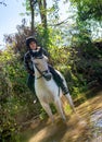 Young woman riding a horse in the river A beautiful rider and ho Royalty Free Stock Photo