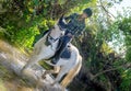 Young woman riding horse in the river Royalty Free Stock Photo