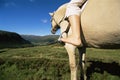 Young woman riding horse in rural setting Royalty Free Stock Photo