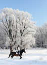 Young woman riding horse on a winter meadow Royalty Free Stock Photo