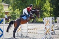 Young woman riding horseback jumping over the hurdle on showjumping course Royalty Free Stock Photo