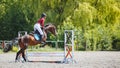 Young woman riding horseback jumping over the hurdle on showjumping course Royalty Free Stock Photo
