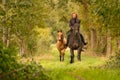 Young woman riding without saddle on her beautiful brown mare, yellow foal next to them, in the autumn forest Royalty Free Stock Photo