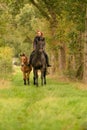 Young woman riding without saddle on her beautiful brown mare, yellow foal next to them, in the autumn forest Royalty Free Stock Photo