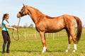 Young woman riding trainer holding purebred chestnut horse.