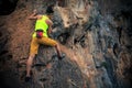 Woman rock climber climbing on cliff Royalty Free Stock Photo