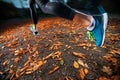 Young woman running in the early evening autumn leaves Royalty Free Stock Photo