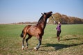 Young woman running with horse on green field on sunny summer day, copy space. Royalty Free Stock Photo