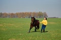 Young woman running with horse on green field on sunny summer day, copy space. Royalty Free Stock Photo