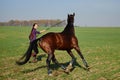 Young woman running with horse on green field on sunny summer day, copy space. Royalty Free Stock Photo