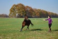 Young woman running with horse on green field on sunny summer day, copy space. Royalty Free Stock Photo