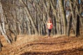 Young woman running training in autumn park Royalty Free Stock Photo