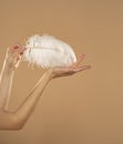 Young Woman`s Hand Touhing Her Palm With White Feather On Beige Background. Beautiful Body Care Concepts Royalty Free Stock Photo