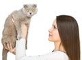 Young woman with scottish-fold cat Royalty Free Stock Photo